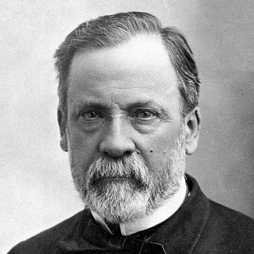 Biografía De Louis Pasteur Su Vida Carrera Y Legado 4490